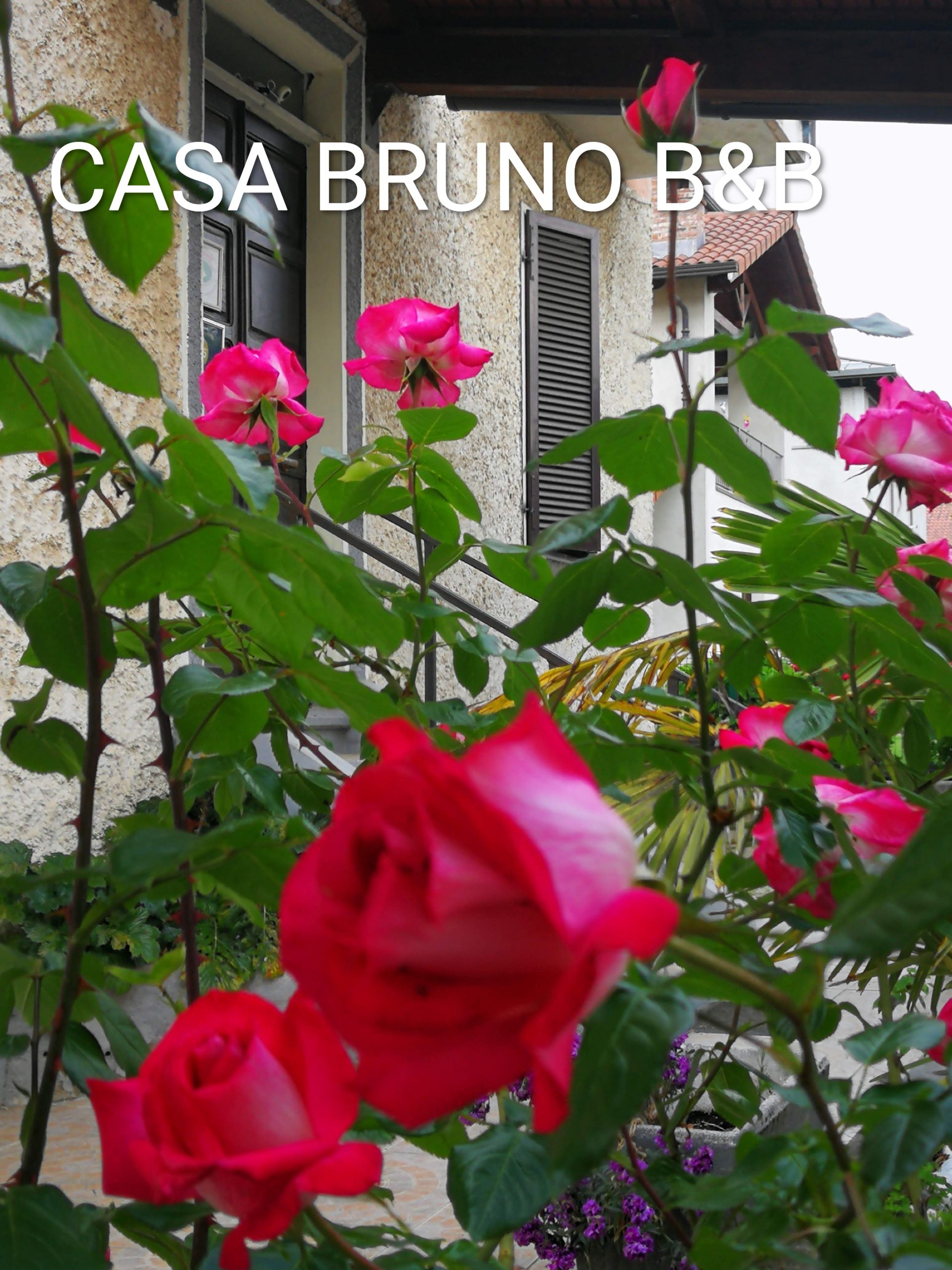 casa_brunoB&B